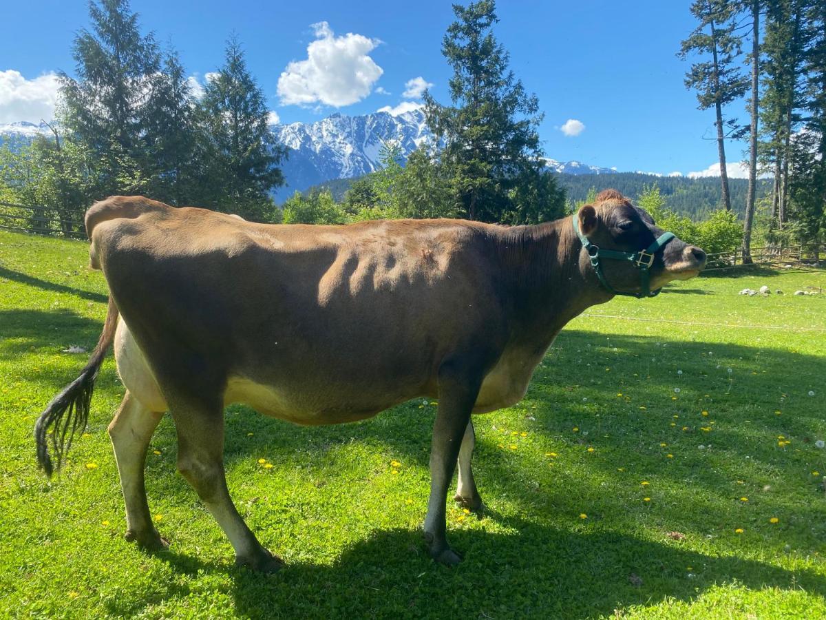 Mount Currie Sweetwater Lane Farm 빌라 외부 사진