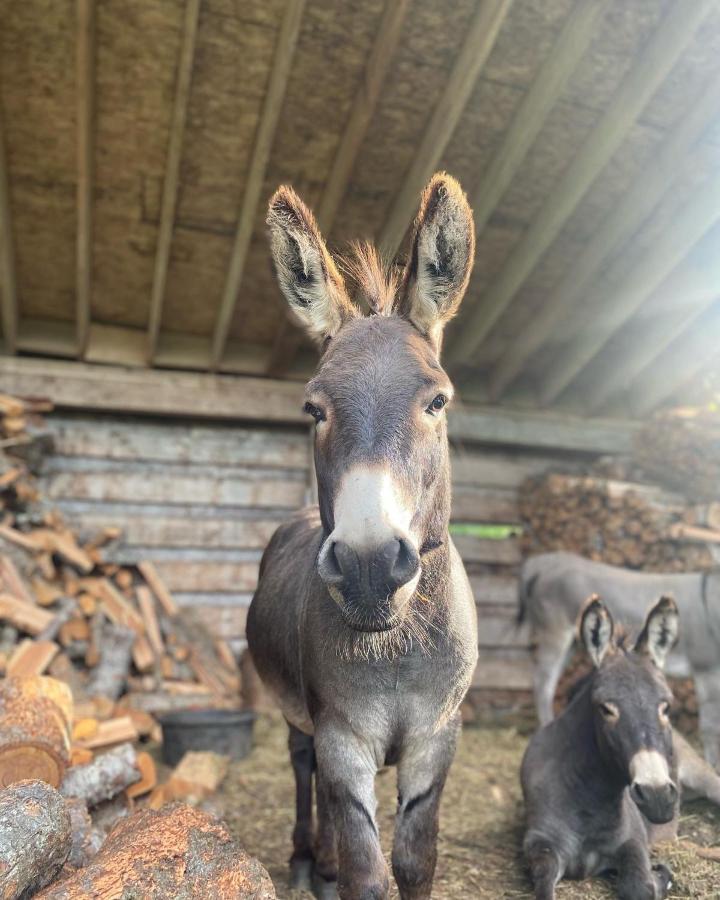 Mount Currie Sweetwater Lane Farm 빌라 외부 사진