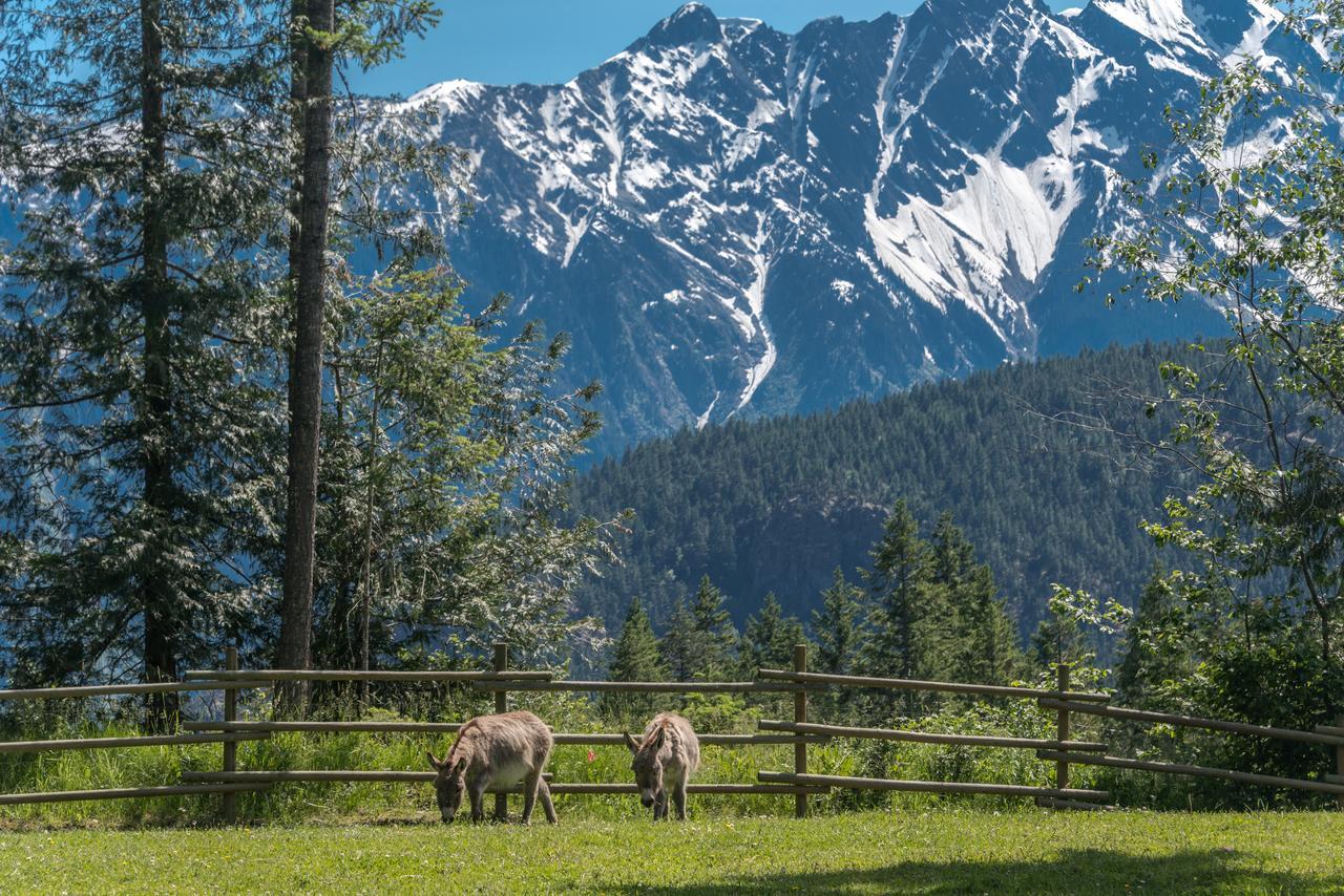 Mount Currie Sweetwater Lane Farm 빌라 외부 사진