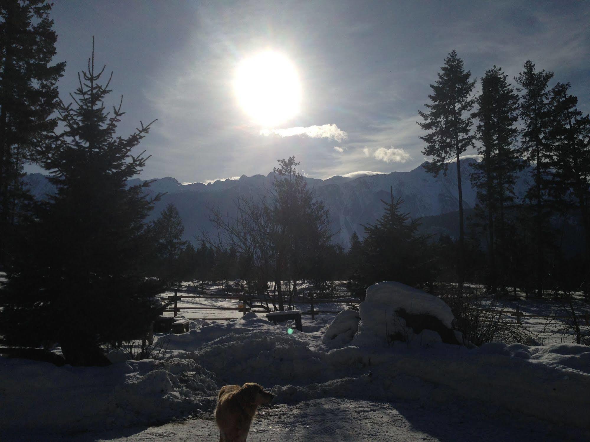 Mount Currie Sweetwater Lane Farm 빌라 외부 사진