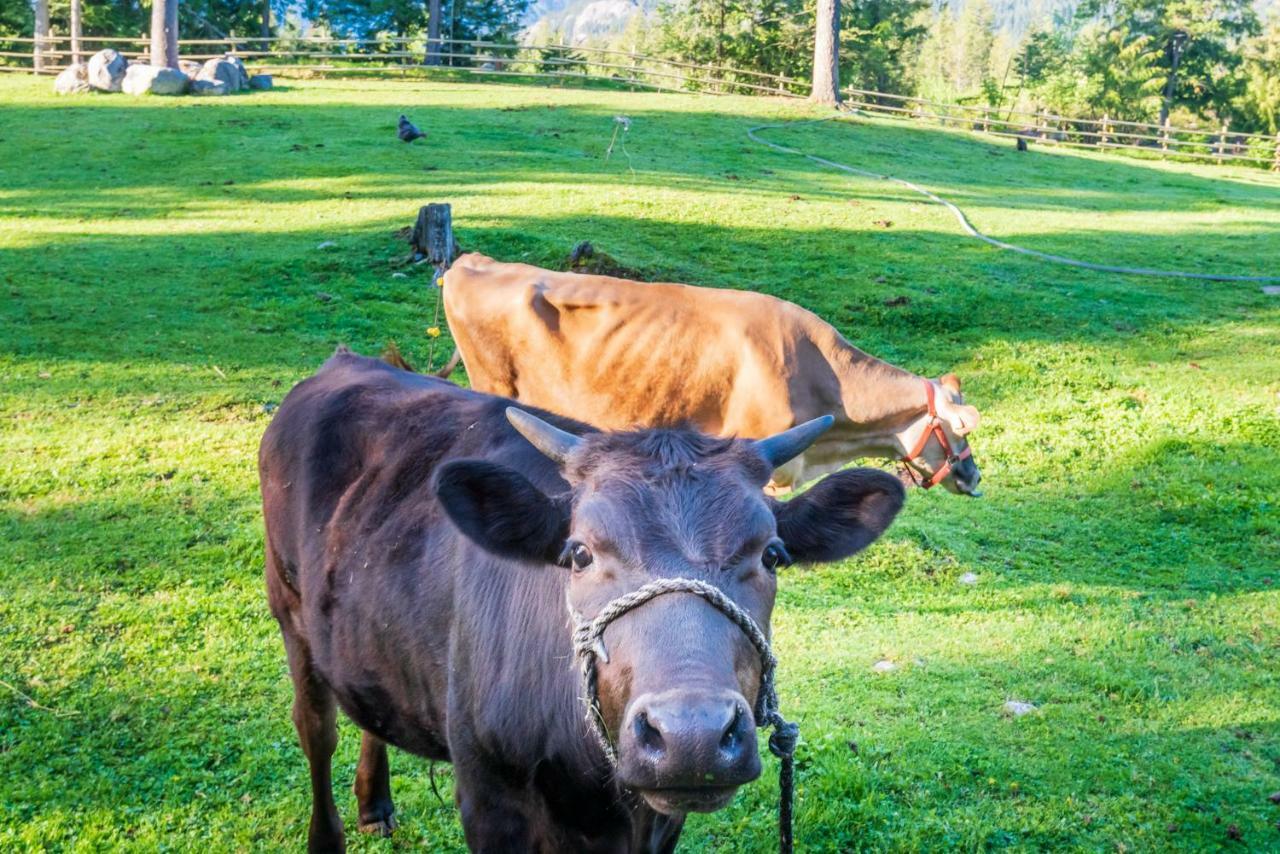 Mount Currie Sweetwater Lane Farm 빌라 외부 사진